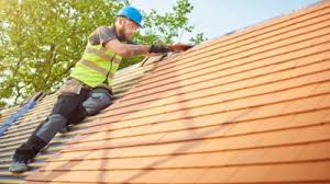 Best Green or Eco-Friendly Roofing Solutions  in Frankford, DE
