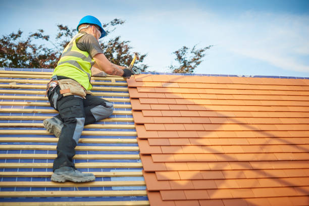 Best Wood Shake Roofing  in Frankford, DE